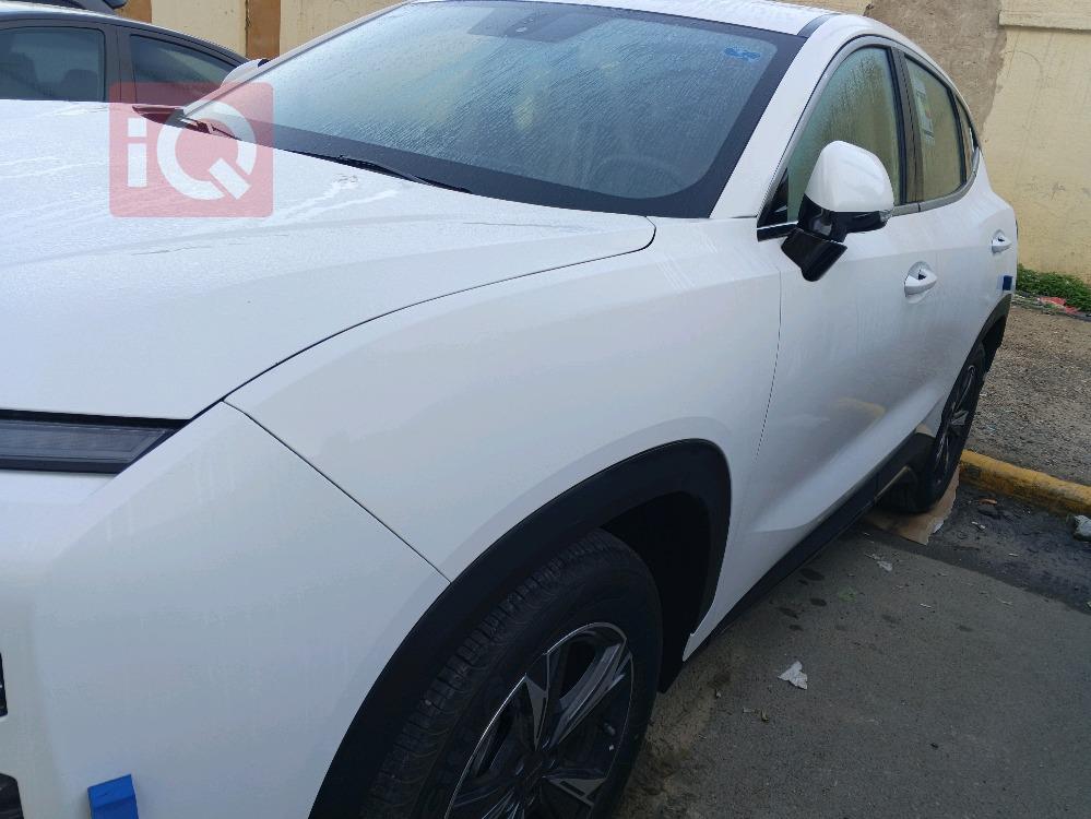 جيتور داشينج